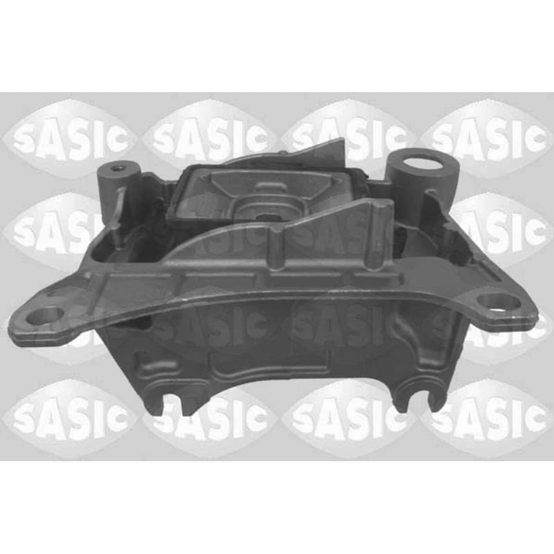 SASIC variklio montavimas 2704079