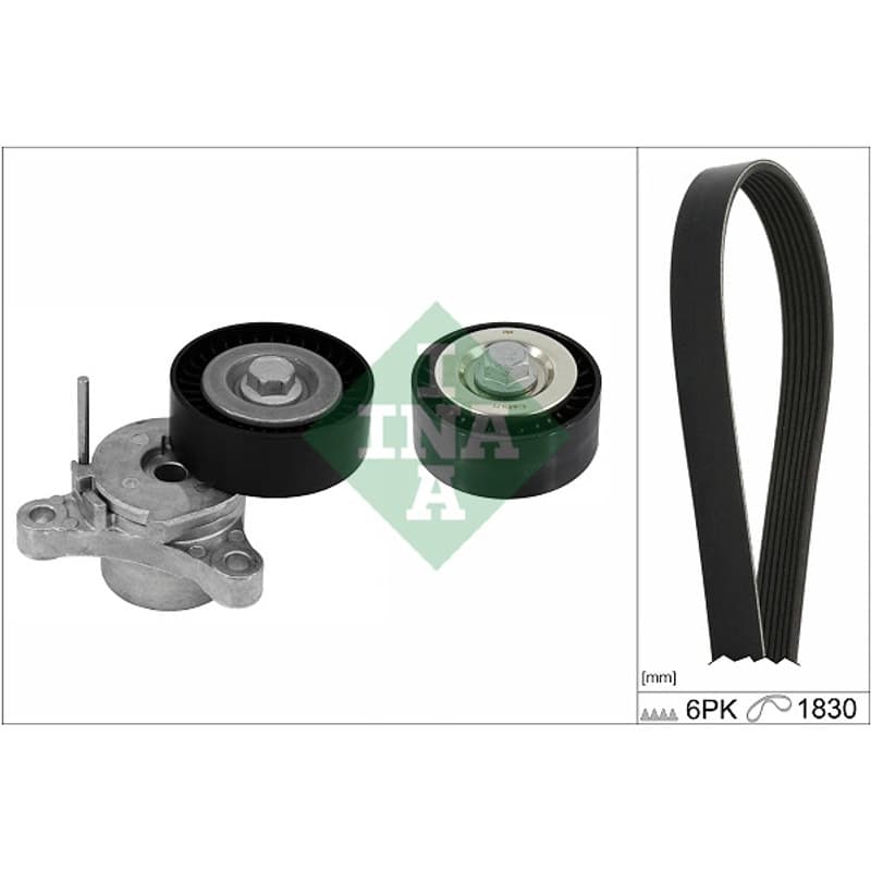 SCHAEFFLERINA V formos rumbuotas diržas, komplektas 529 0448 10
