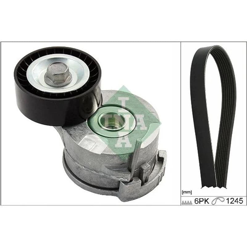 SCHAEFFLERINA V formos rumbuotas diržas, komplektas 529 0291 10