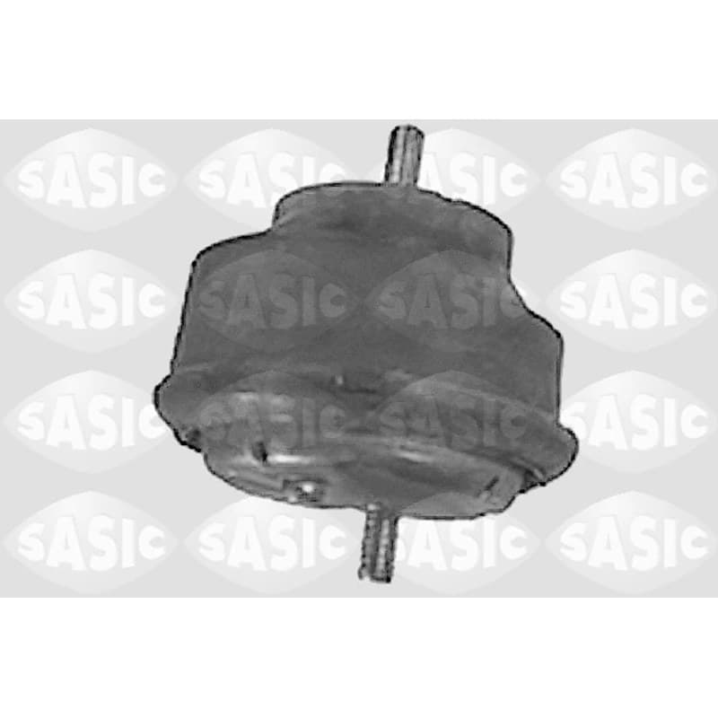 SASIC variklio montavimas 9001407