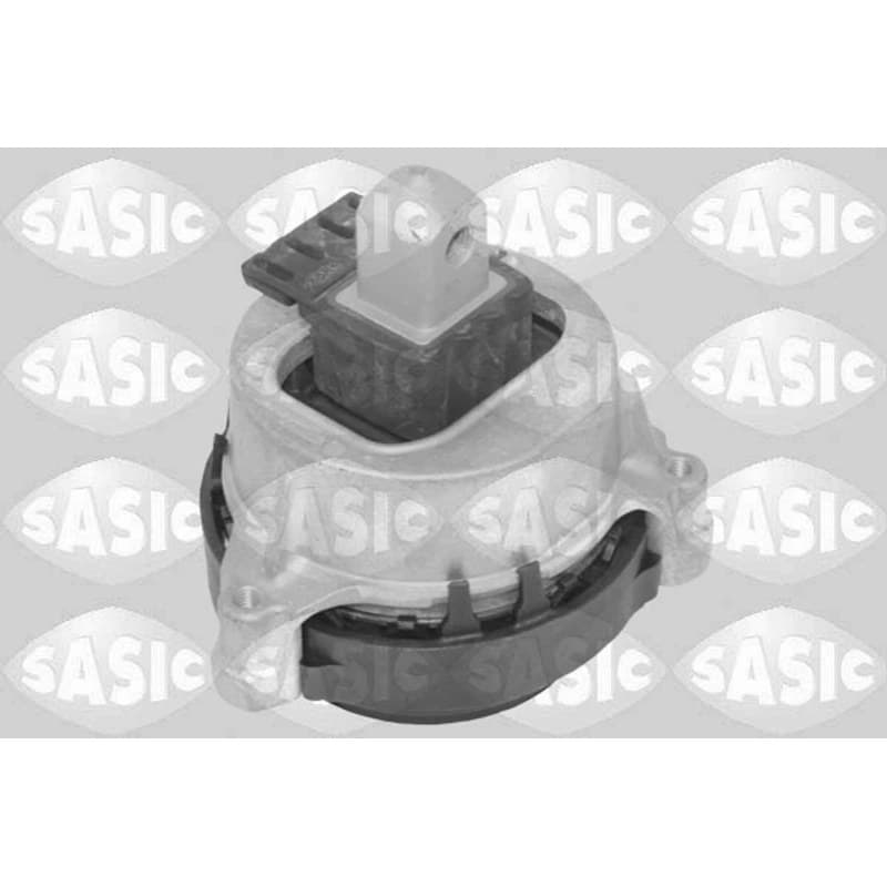 SASIC variklio montavimas 2706617