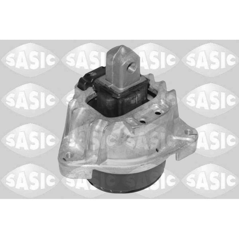 SASIC variklio montavimas 2706547