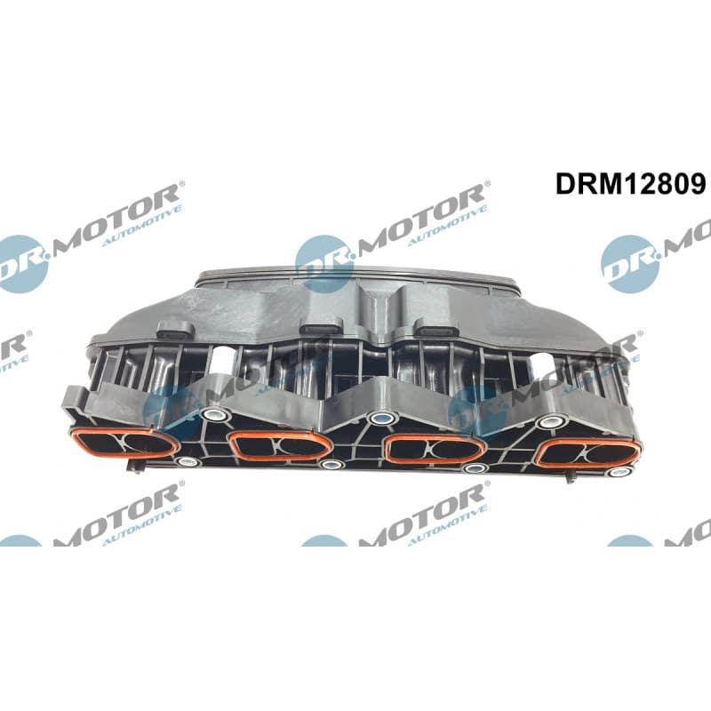 DRMOTORAUTOMOTIVE įsiurbimo kolektoriaus modulis DRM12809