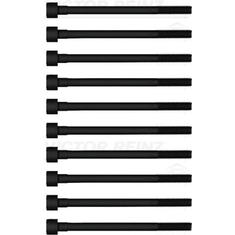 VICTORREINZ varžtų kompl., cil. galvutės varžtai 14-55008-01