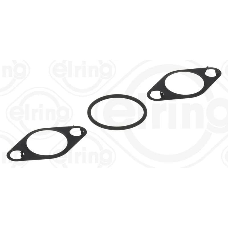 ELRING Tarpiklių rinkinys, AGR sistema 929.070