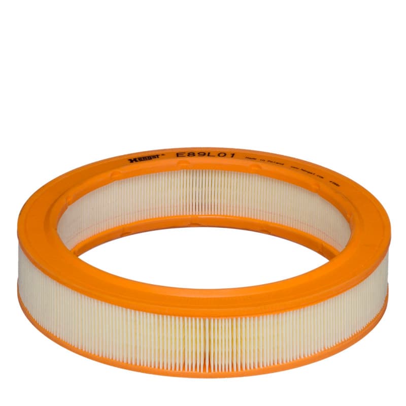 HENGSTFILTER Oro filtras E89L01