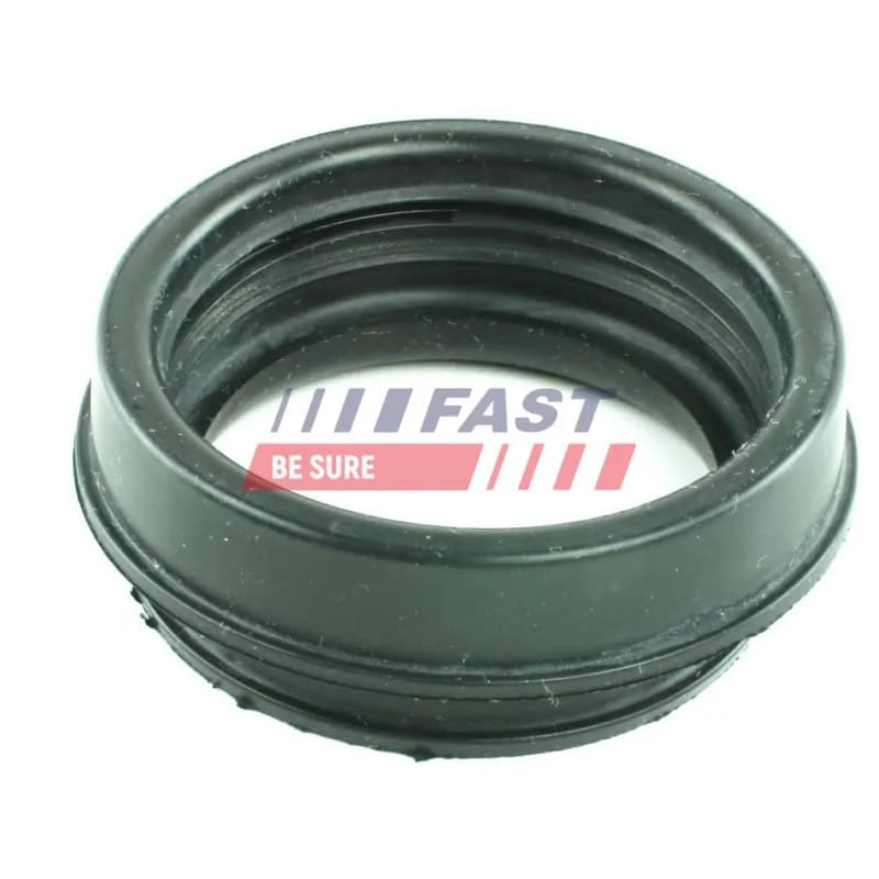 FAST tarpiklis, oro filtro korpuso įsiurbimo žarna FT49914
