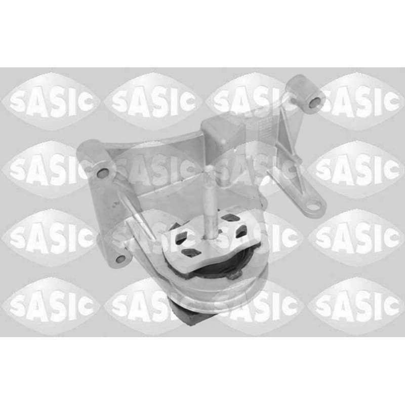 SASIC variklio montavimas 2706785