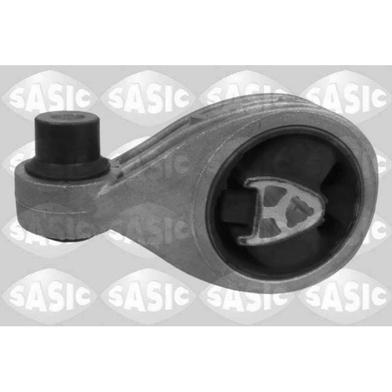 SASIC variklio montavimas 2706033