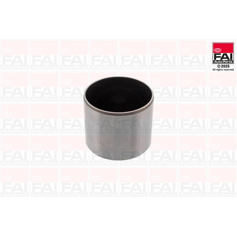 FAIAUTOPARTS svirtis/kumštelis BFS556S