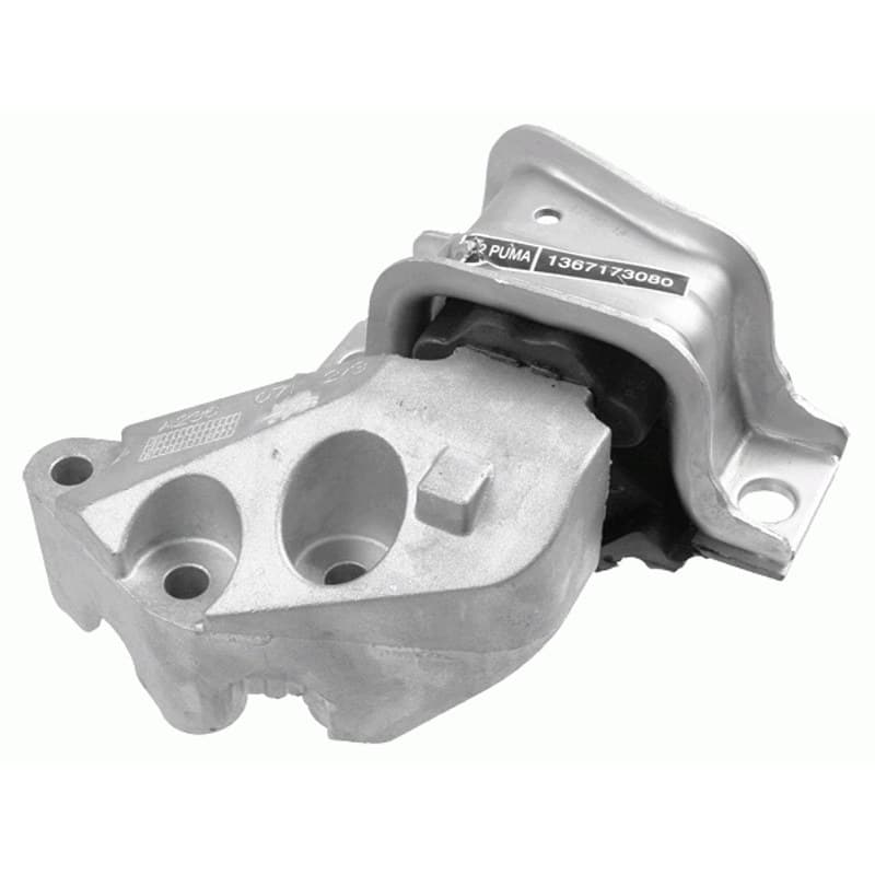 LEMFRDER variklio montavimas 37007 01