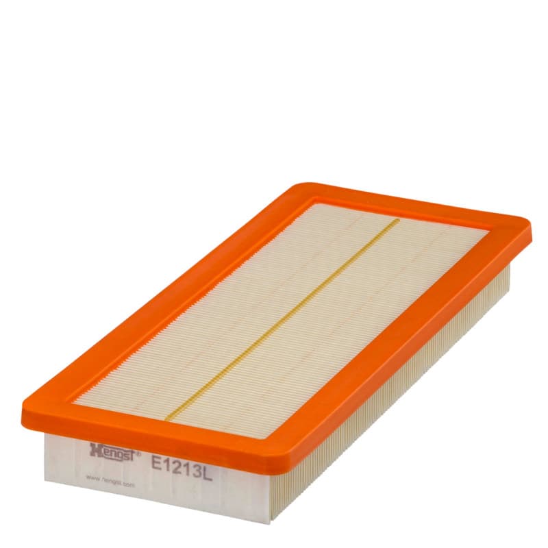 HENGSTFILTER oro filtras E1213L