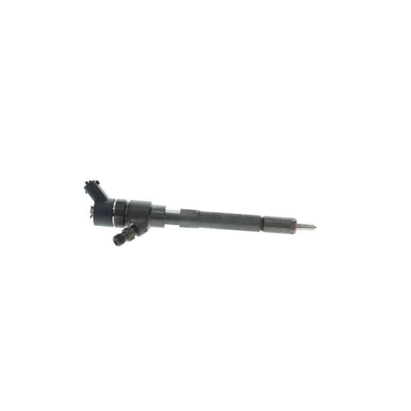 BOSCH 0 445 110 257 įpurškimo antgalis