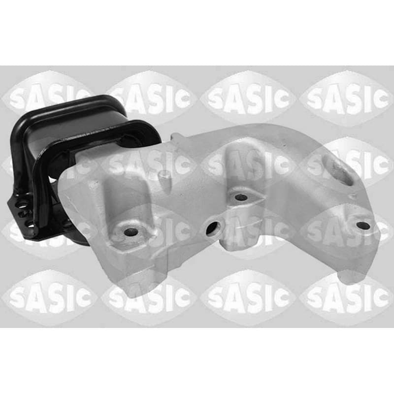 SASIC variklio montavimas 2700076