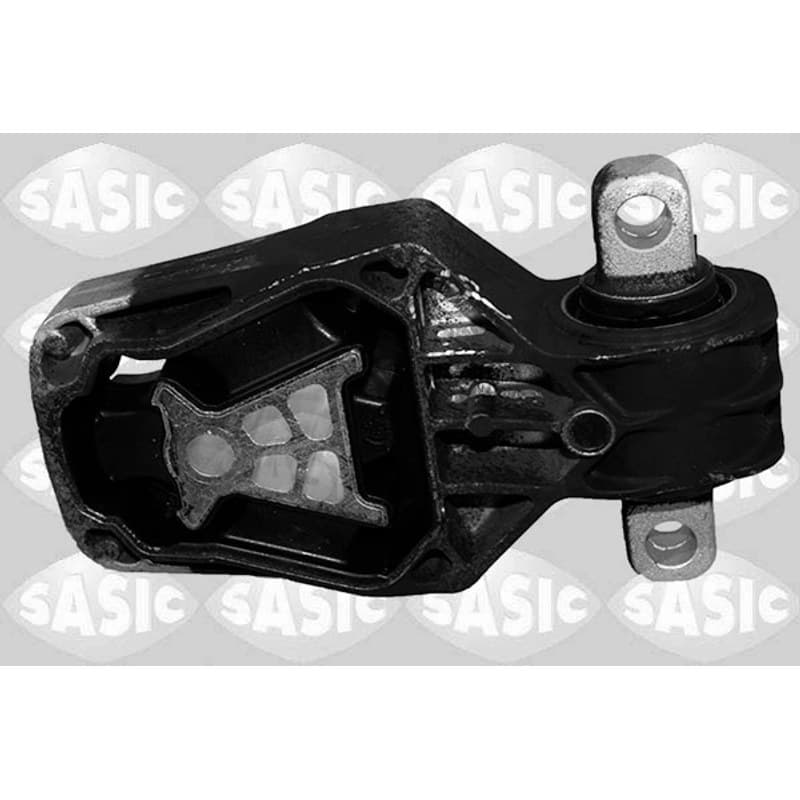 SASIC variklio montavimas 2706278