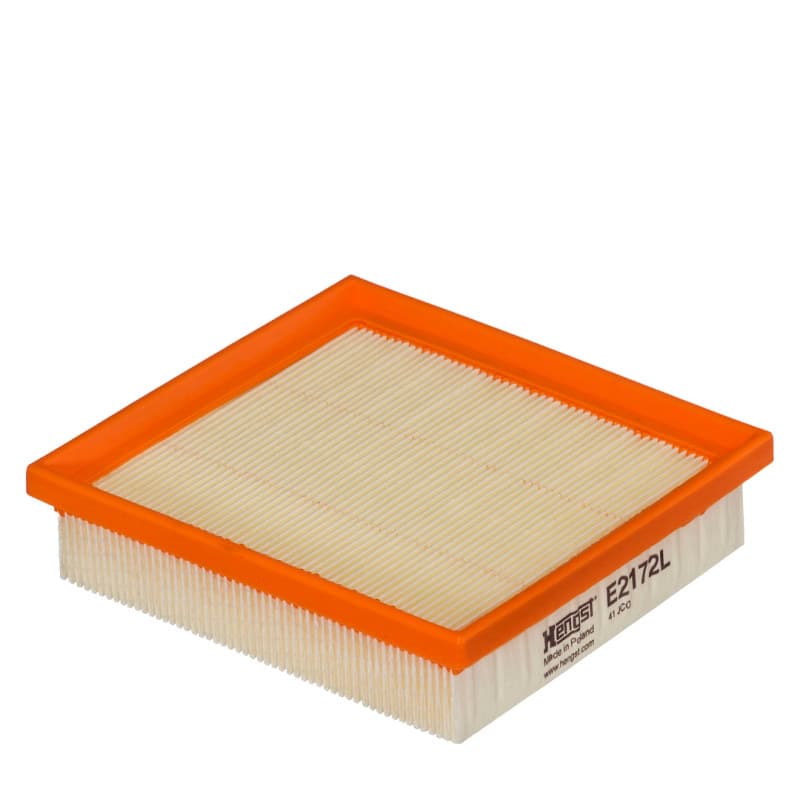 HENGSTFILTER oro filtras E2172L