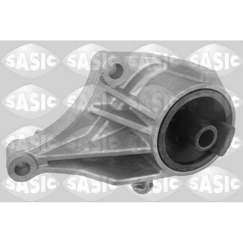 SASIC variklio montavimas 2706077