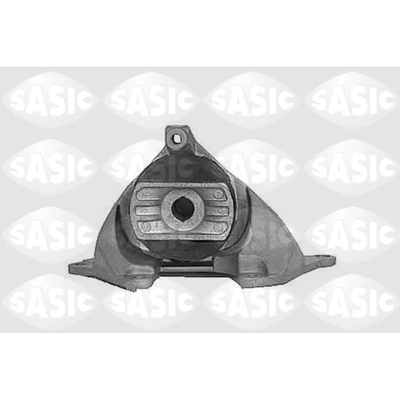 SASIC variklio montavimas 9002400