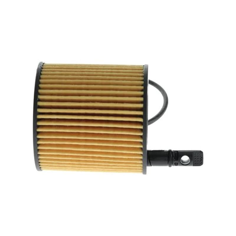 BOSCH F 026 407 356 alyvos filtras