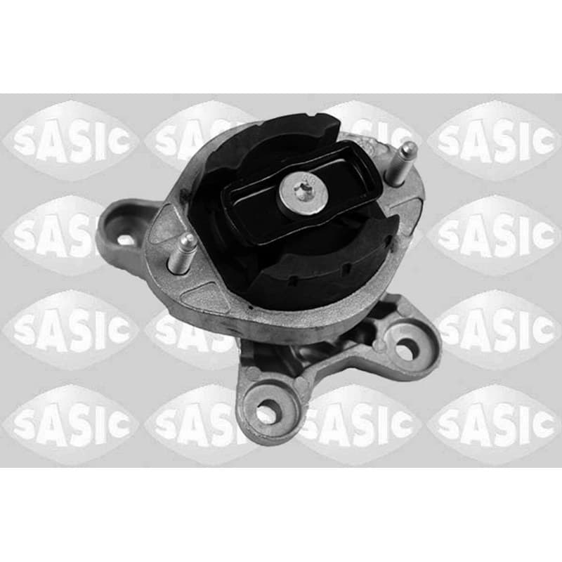 SASIC variklio montavimas 2706142