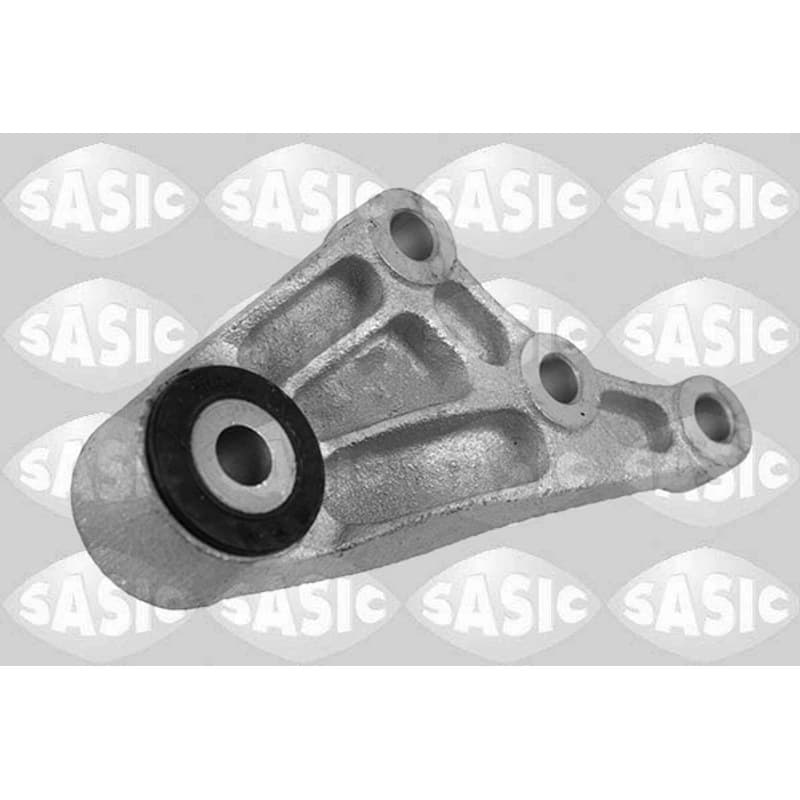 SASIC variklio montavimas 2706339