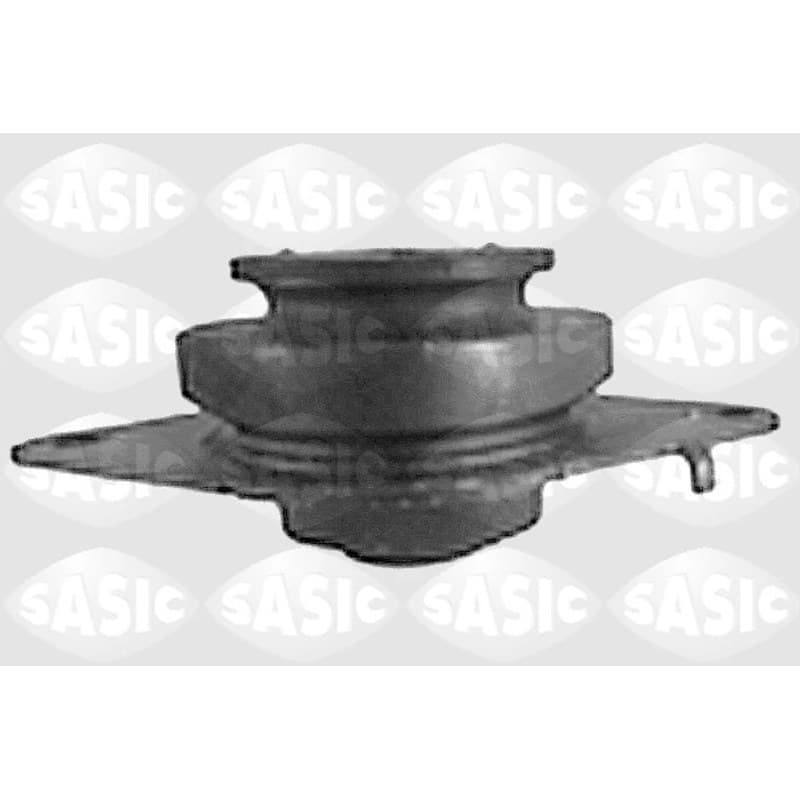 SASIC variklio montavimas 4001787